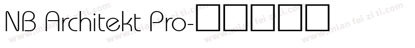 NB Architekt Pro字体转换